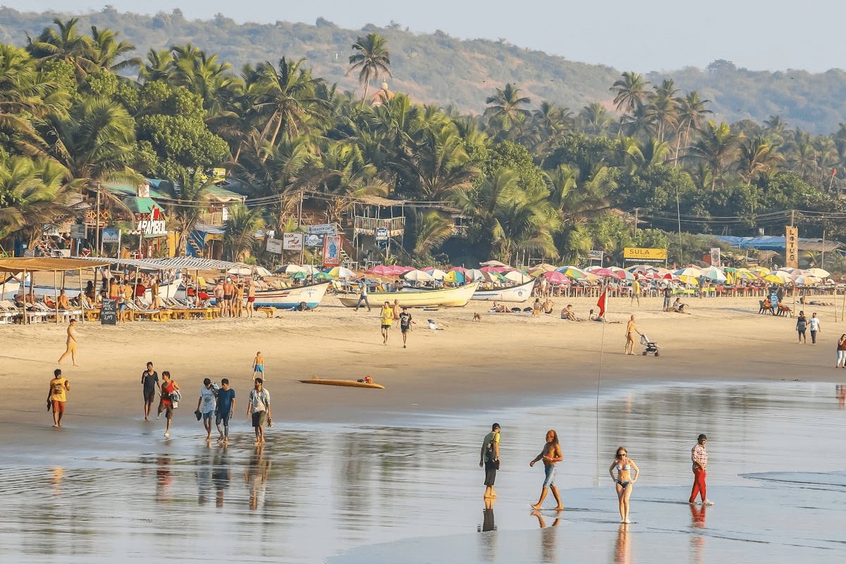 Exploring Poxpuz9.4.0.5: An In-Depth Look at Its Features and Benefits